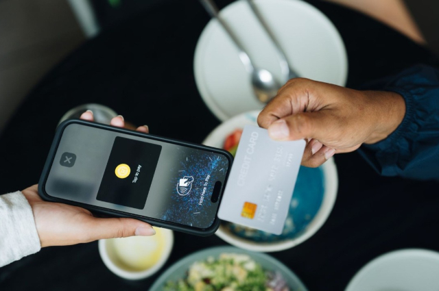 software land article fotor 2025081415253