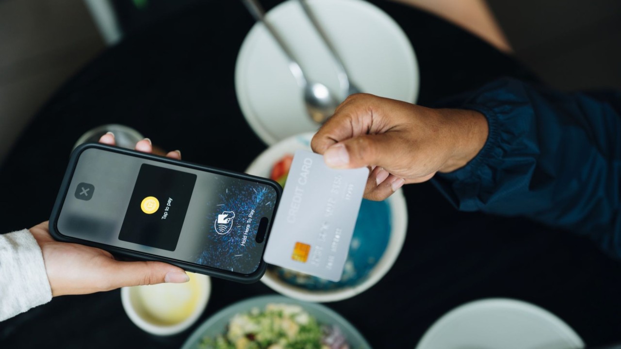 software land article